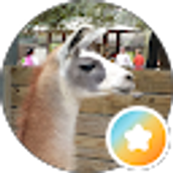 Profile photo of Angie Phillips