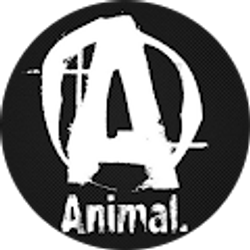 Profile photo of Adrenaline Junkie