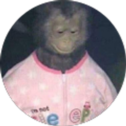 Profile photo of Christopher Quinones