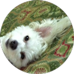 Profile photo of India Harkless