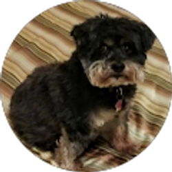 Profile photo of Paula Adams