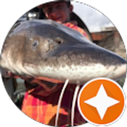 Profile photo of Franky DeMayo