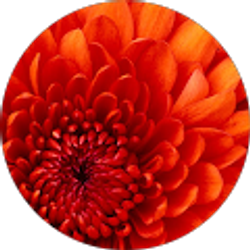 Profile photo of Kendall Klemp