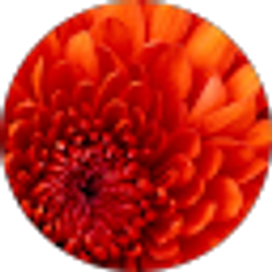 Profile photo of Kendall Klemp