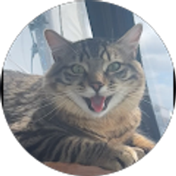 Profile photo of Deb Wilson