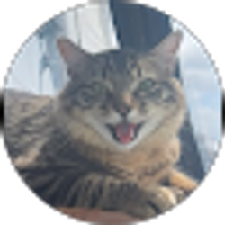 Profile photo of Deb Wilson