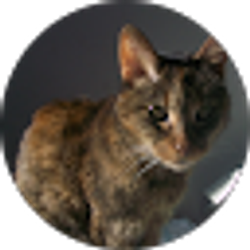Profile photo of Mimi Mi