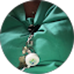 Profile photo of Rhonda Sorsoli