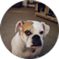 Profile photo of Barb Romans