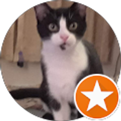 Profile photo of Richard Bowen