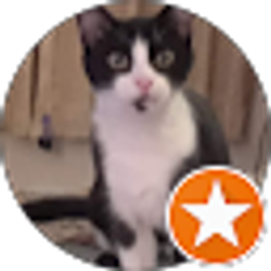 Profile photo of Richard Bowen