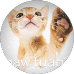 Profile photo of jordan (jordan with no brim)