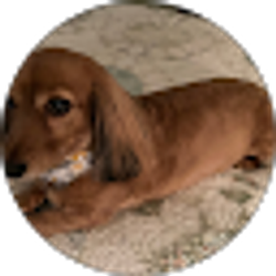Profile photo of Joyce Weaver
