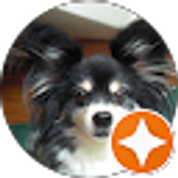 Profile photo of Margarita Santiago