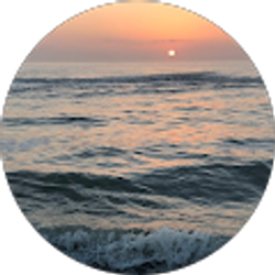 Profile photo of Rylie Ostrom