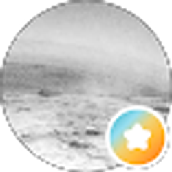Profile photo of C S