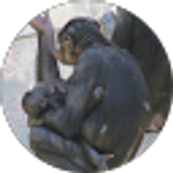 Profile photo of Marcie Hudson