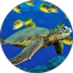 Profile photo of sam carrasco