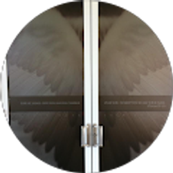 Profile photo of Rebecca Viglione