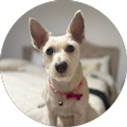 Profile photo of My Phuong Vo