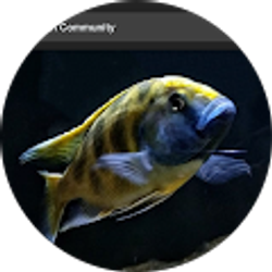 Profile photo of Larry