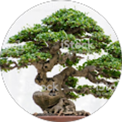 Profile photo of Eugene Cromety