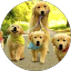 Profile photo of Sue Gorby