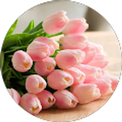 Profile photo of Edith Beltran