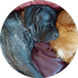 Profile photo of Jessica Mathis