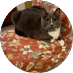 Profile photo of rjackson93