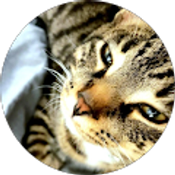 Profile photo of Jake Jaeger