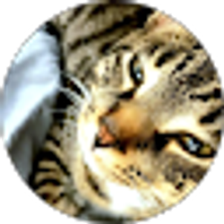 Profile photo of Jake Jaeger