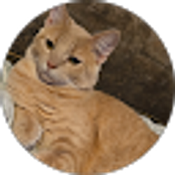 Profile photo of Cant Snipe20