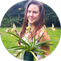 Profile photo of Gina Starseed