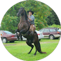 Profile photo of Lester Sexton