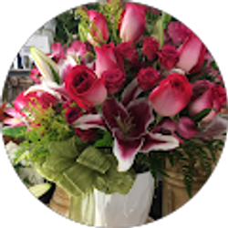 Profile photo of Lulu Salas