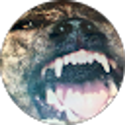 Profile photo of John Duncan