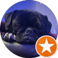 Profile photo of Viola Herrera