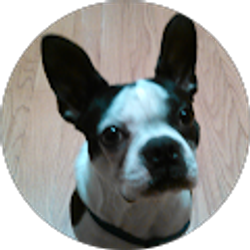 Profile photo of Jason Berman