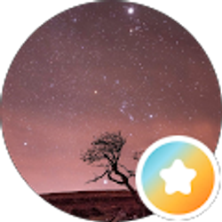 Profile photo of Hopeful 1