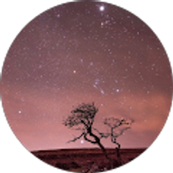 Profile photo of Hopeful 1