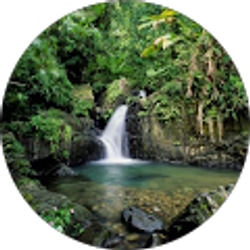 Profile photo of Soothing Sounds