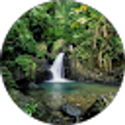 Profile photo of Soothing Sounds