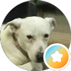 Profile photo of Ken Lininger