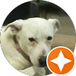 Profile photo of Ken Lininger