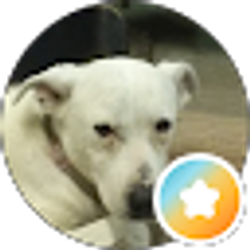 Profile photo of Ken Lininger