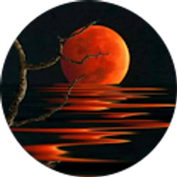 Profile photo of Nick Campagna