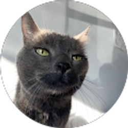 Profile photo of Anna lubman