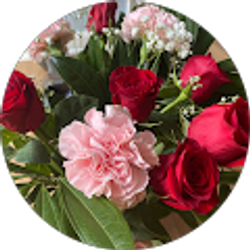 Profile photo of Claudia Montterosa