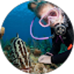 Profile photo of Tess Helfrich